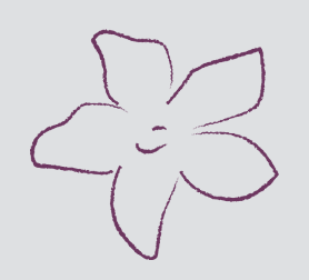 Aumento de Mamas Preservé 3 Capture decran 2025 09 17 a 13.20.07